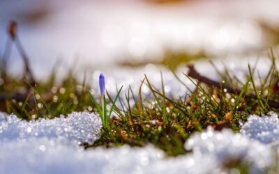 Stopp et øyeblikk – hva skjer utenfor vinduet akkurat nå?